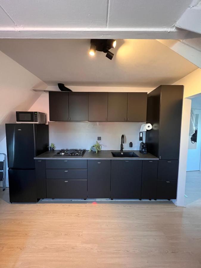 Studio Wijkhuizen ザントフォールト エクステリア 写真